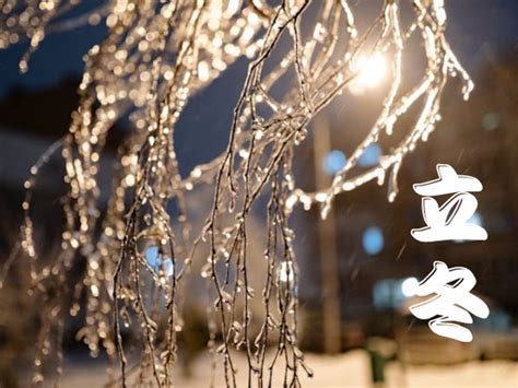 立冬開運|立冬開運法！專家揭家裡擺「這種花」年末財運、好運全開